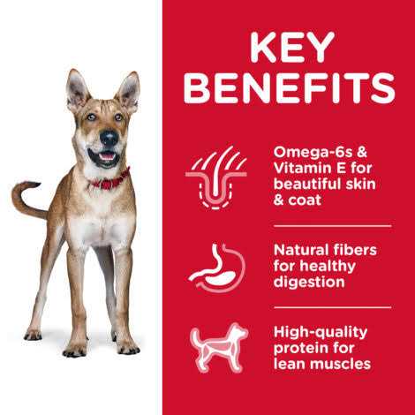 Chicken & Barley Recipe Dry Dog Food H480489