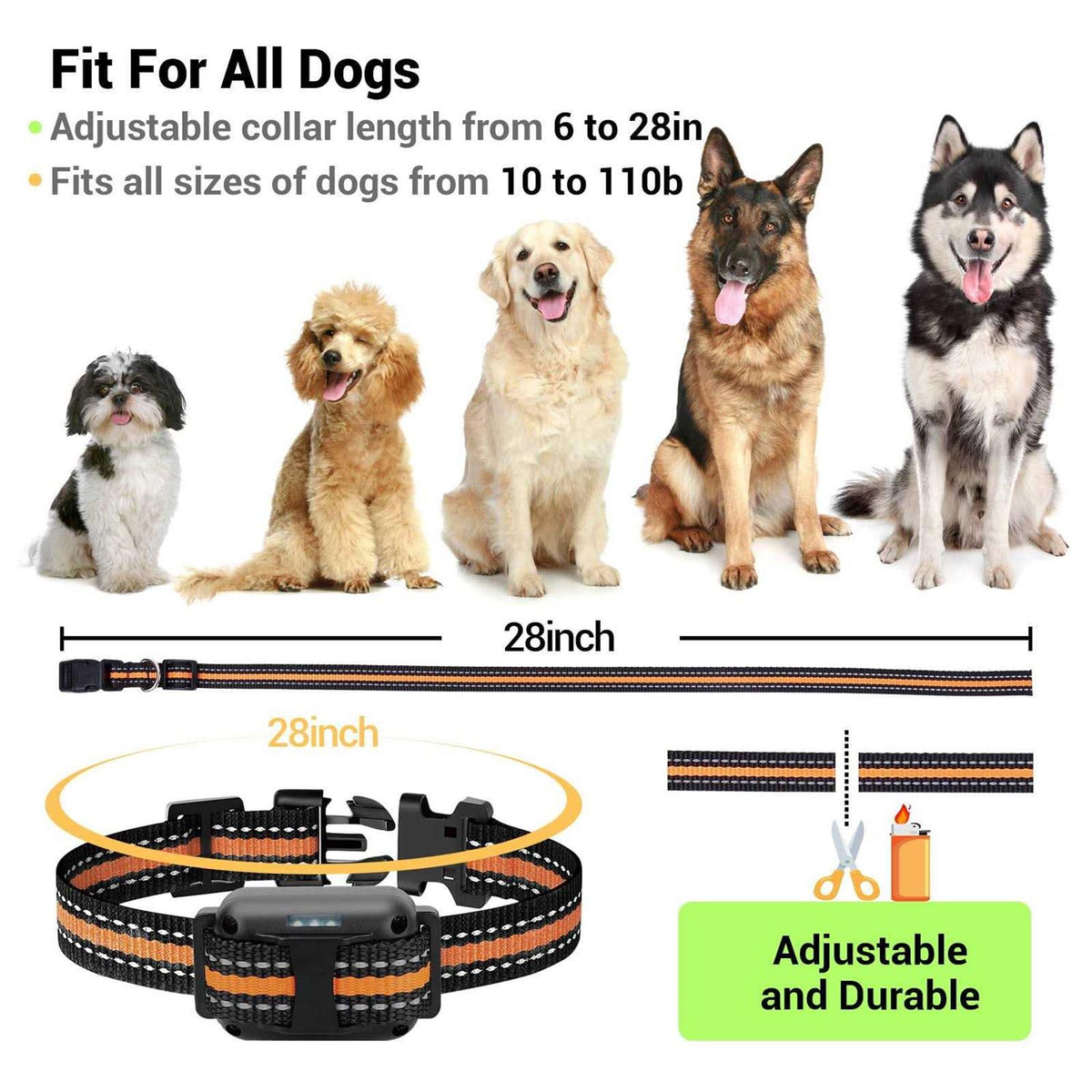 Dog Training Collar with Remote 3 Modes T19414