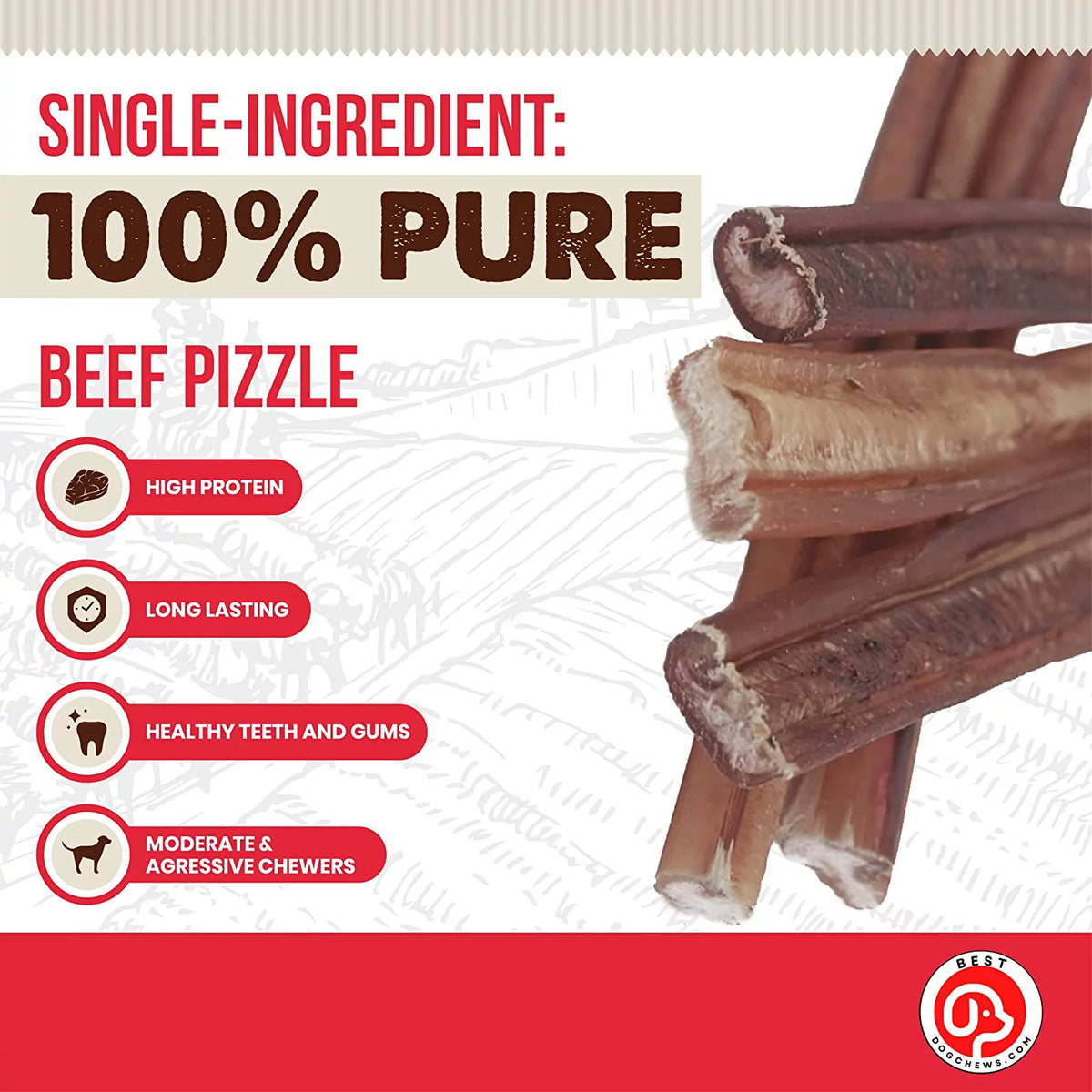 12 Inch 6 Count All Natural Grain Free Rawhide Free Beef Dog Chews S39164