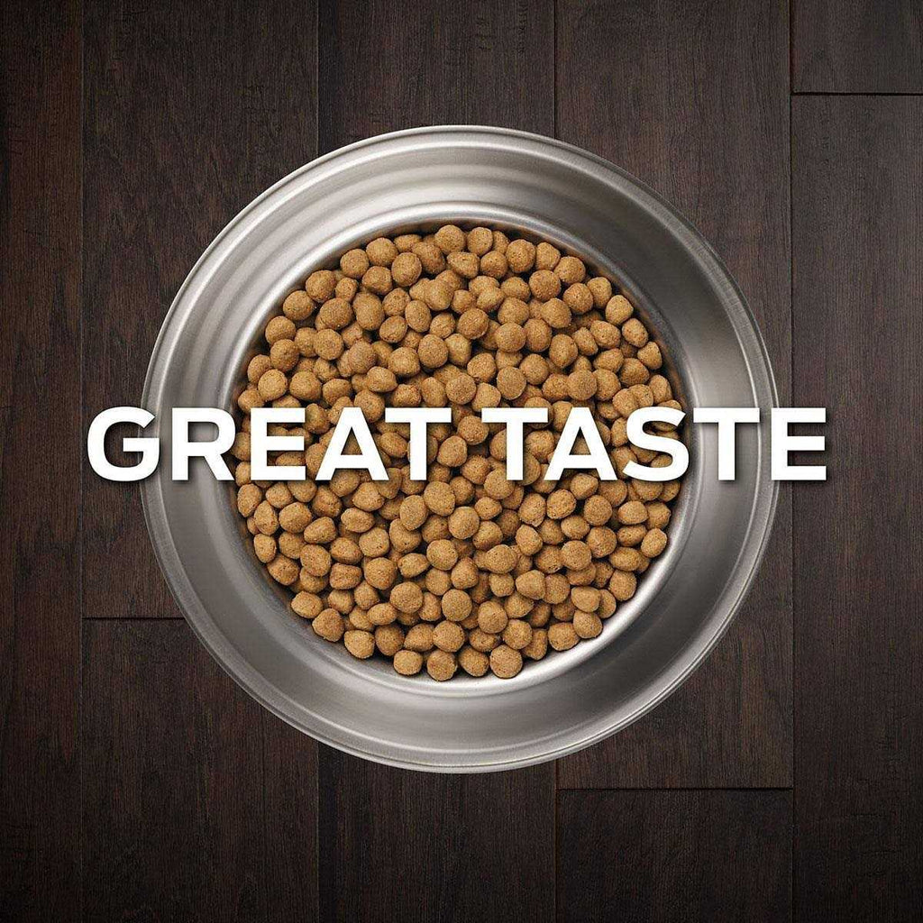 Gastroenteric Dry Dog Food X795