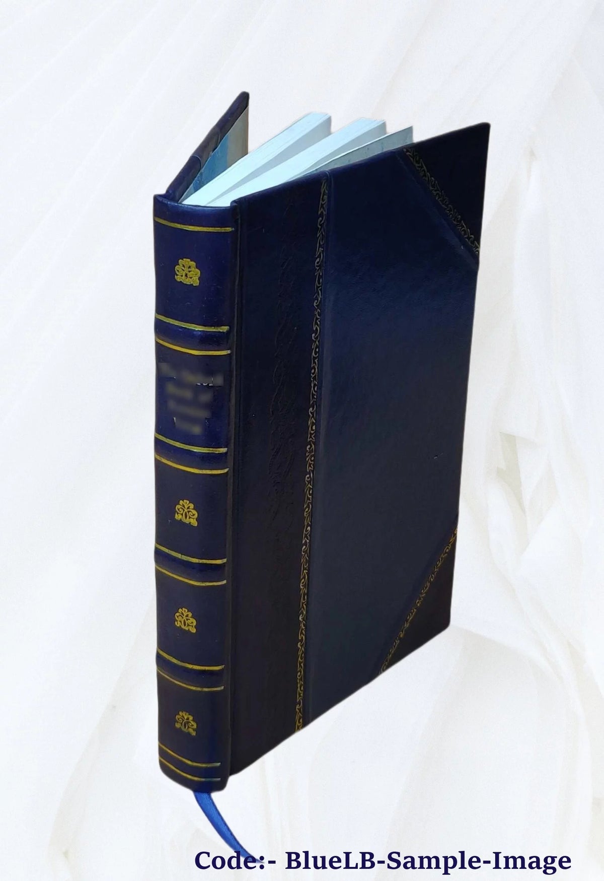 Leather Bound V331958