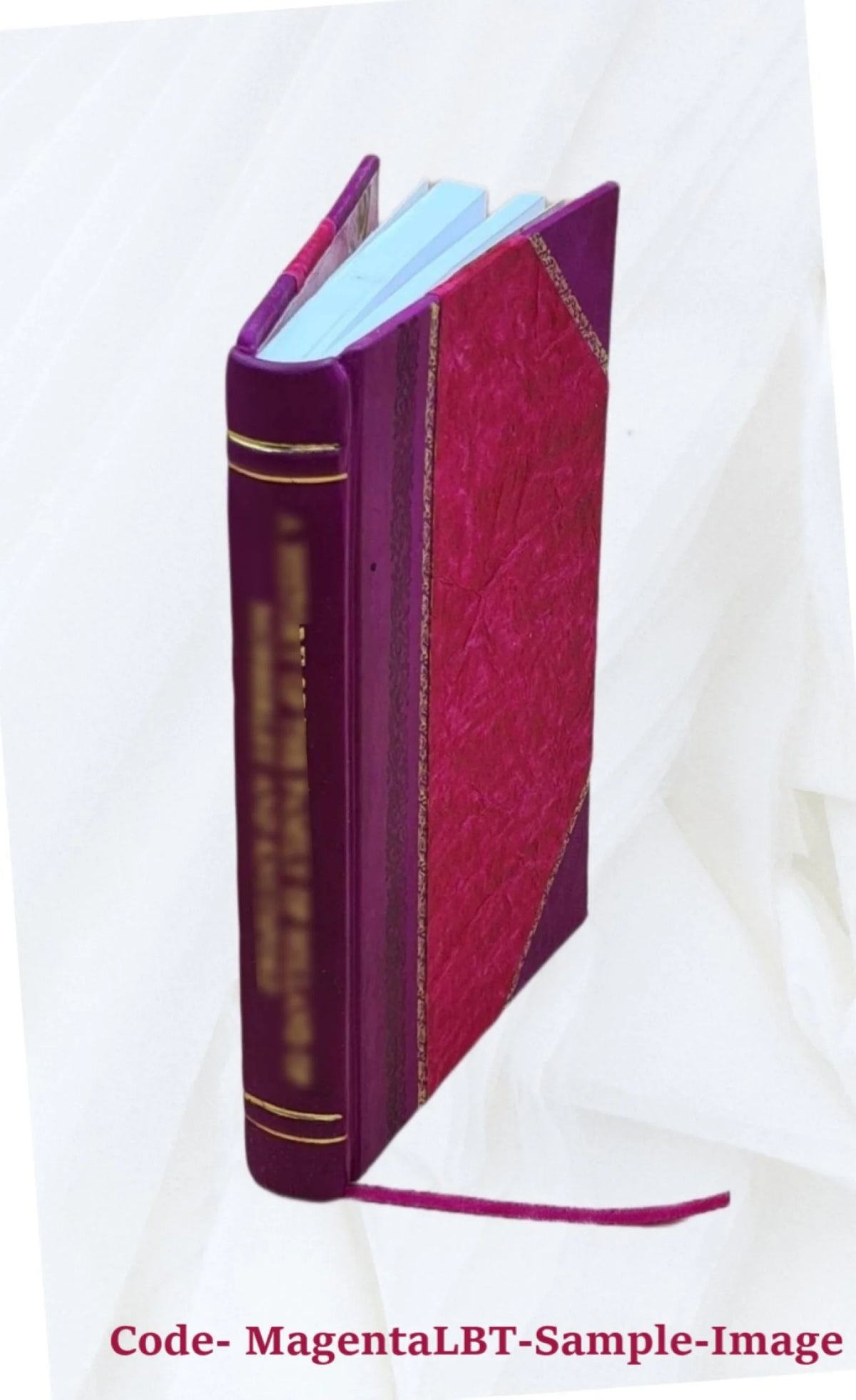 19th Century Ireland History Leather Bound F662