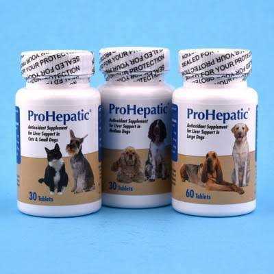 Chewable Tablets U244854