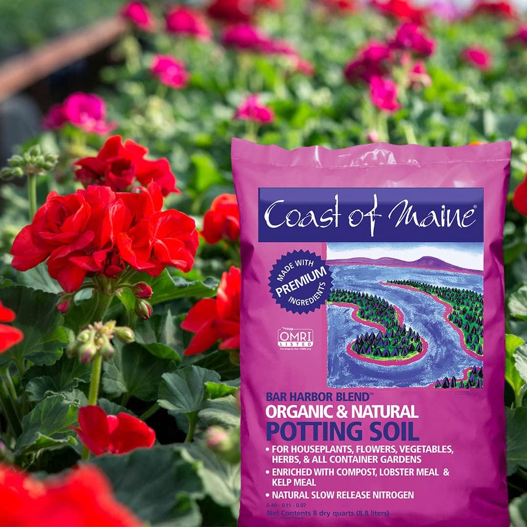 Organic Natural Potting Soil (8qt) T661