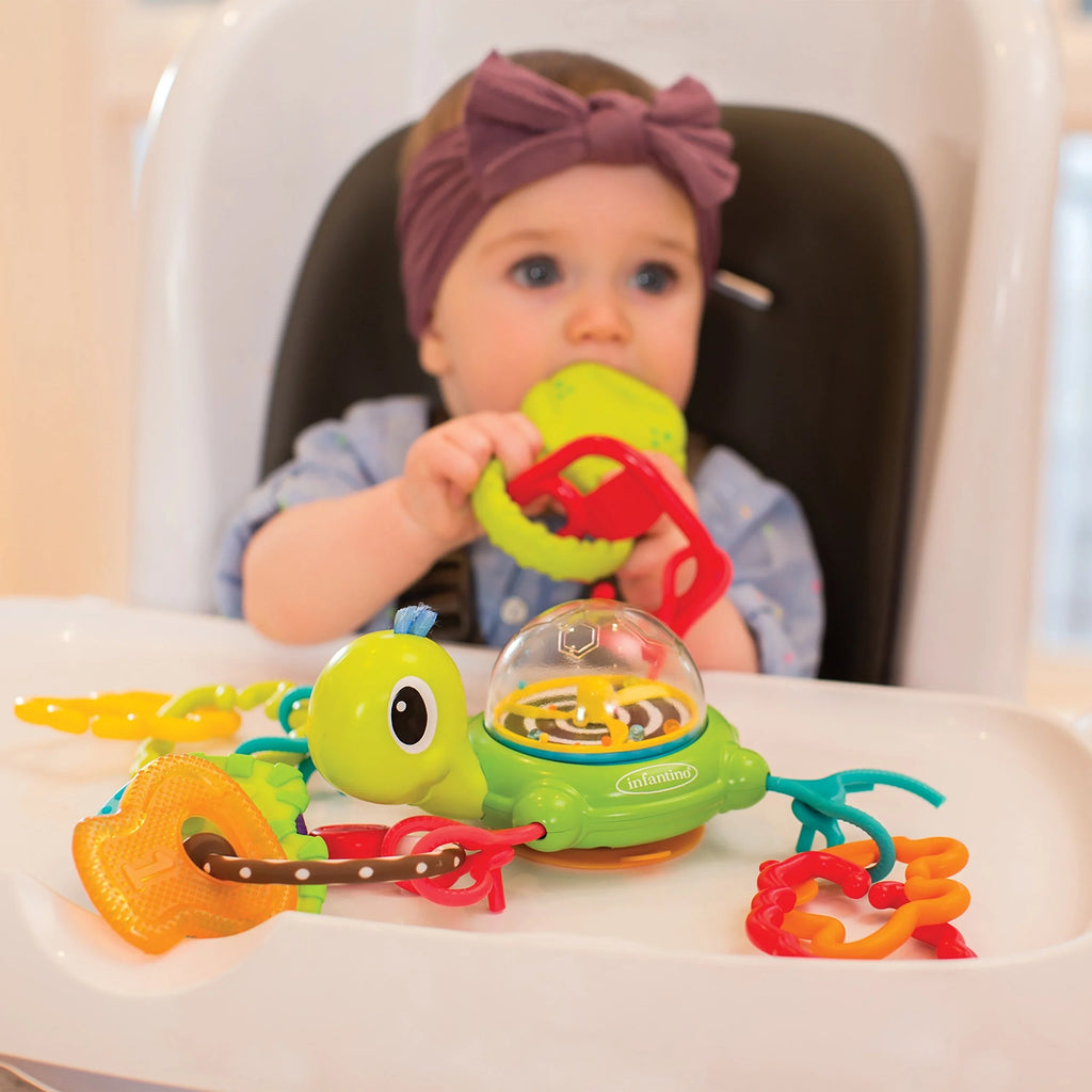Suction Cup Turtle M461938