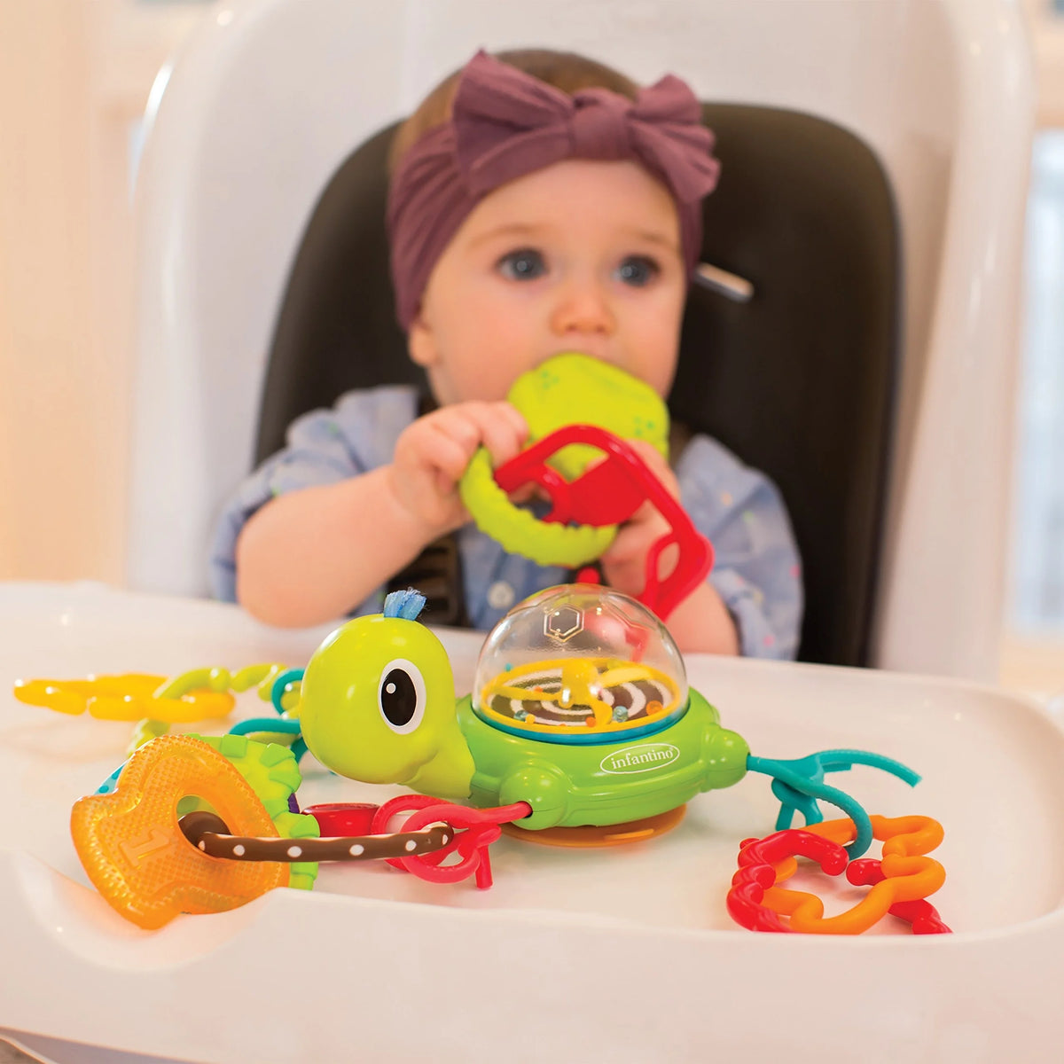 Suction Cup Turtle M461938