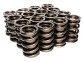 Dual Valve Springs F47593