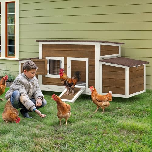 11.5ft² Wooden Chicken Coop with 2 Nesting Boxes F759511