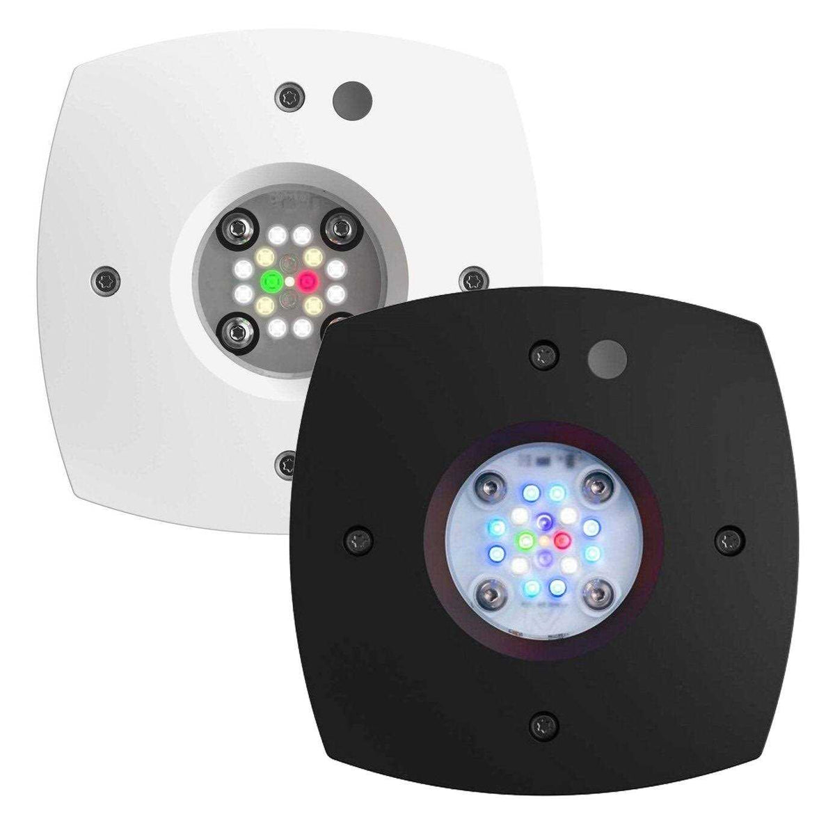 Reef LED Y909727