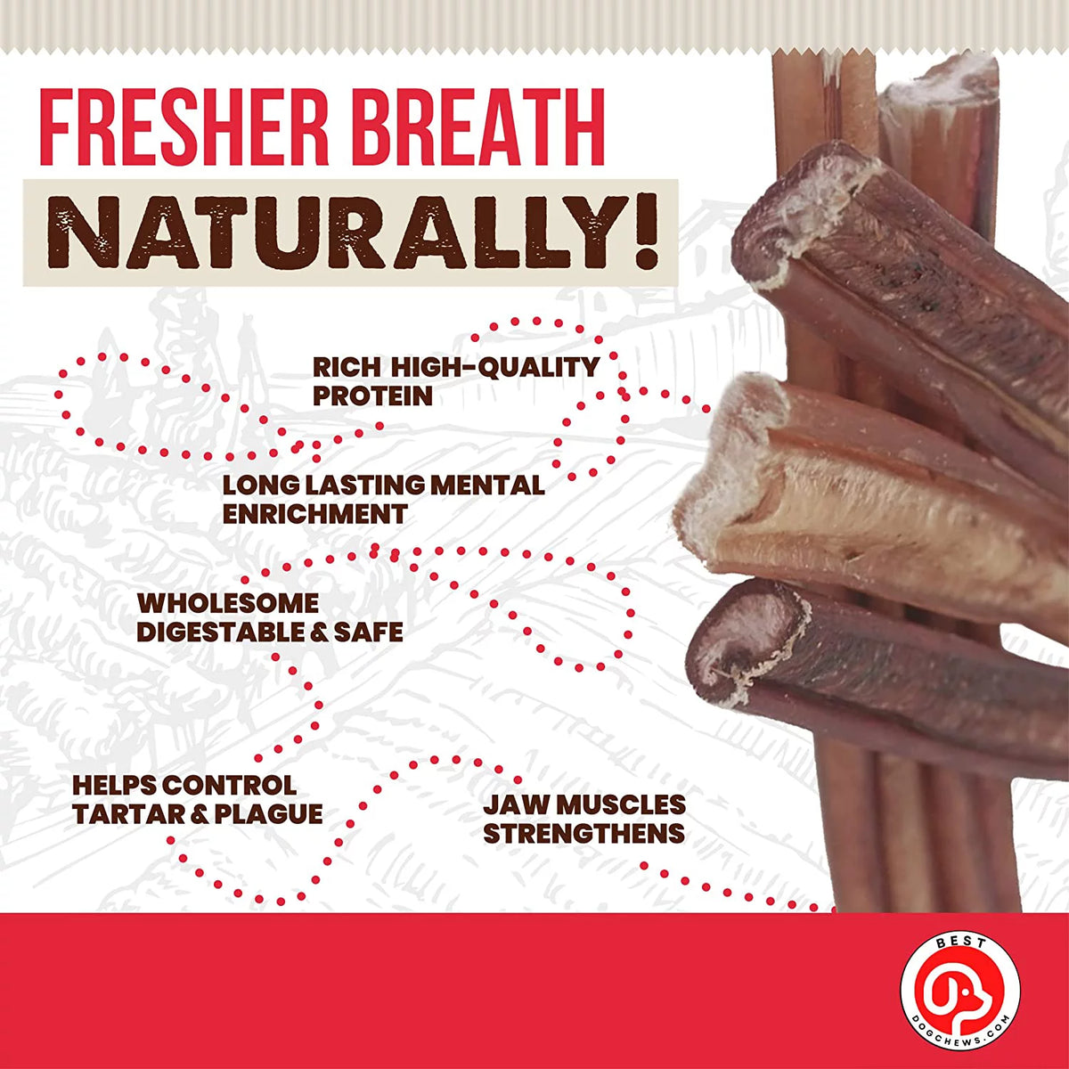 12 Inch 6 Count All Natural Grain Free Rawhide Free Beef Dog Chews S39164
