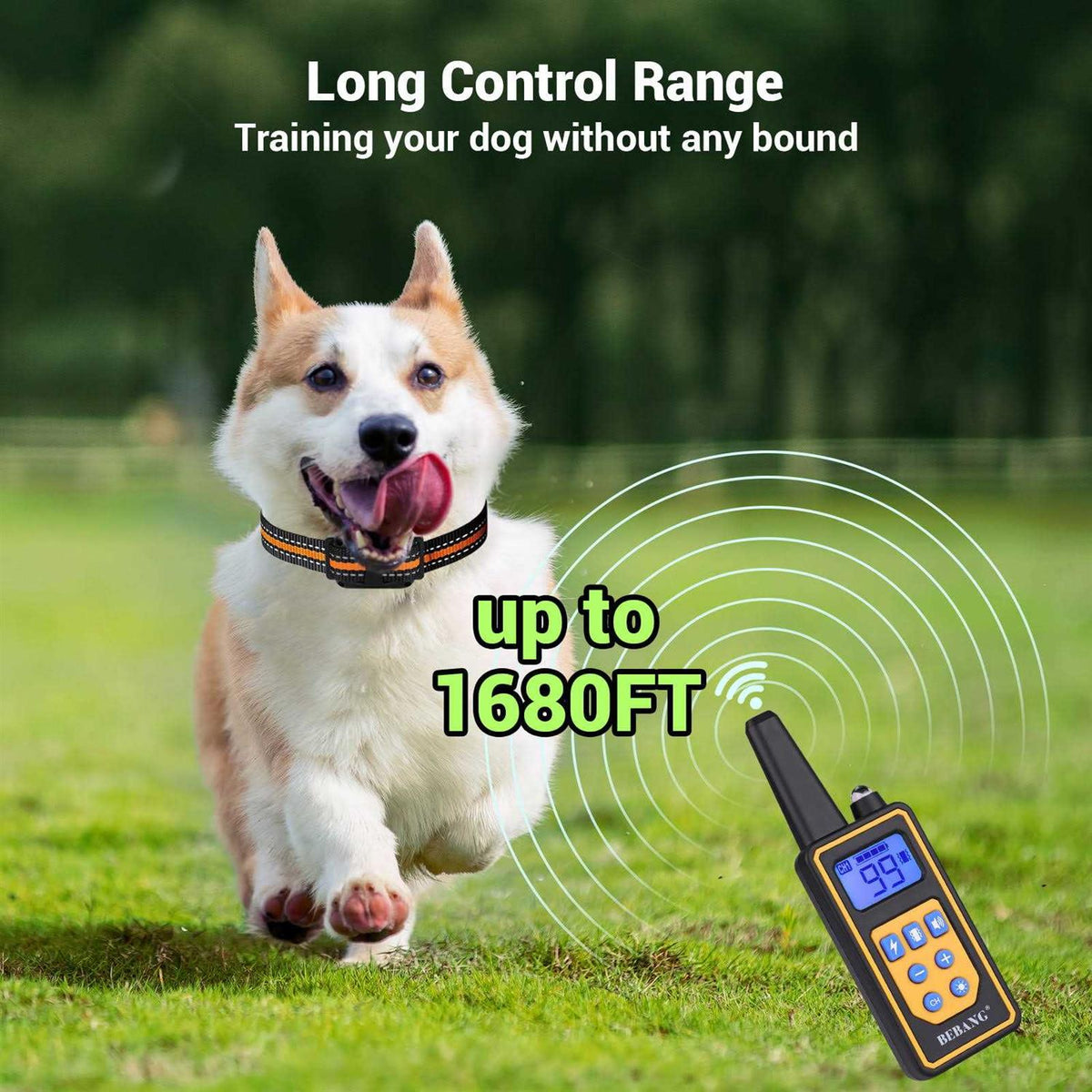 Dog Training Collar with Remote 3 Modes T19414
