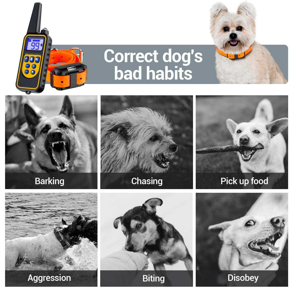 Dog Training Collar with Remote 3 Modes T19414