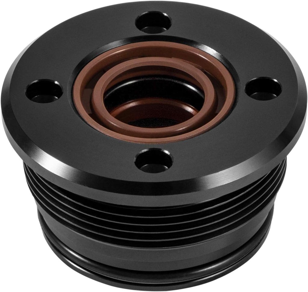 Trim Cylinder RAM Rebuild Kit 2PCS N77569