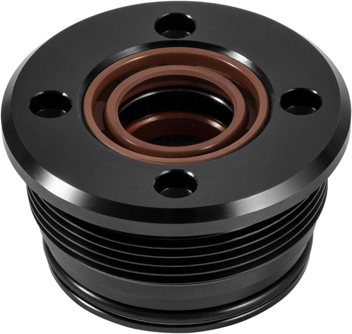 Trim Cylinder RAM Rebuild Kit 2PCS N77569