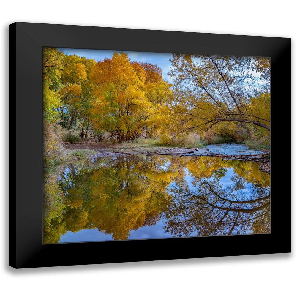 13x12 Black Framed Museum Art Print G41779
