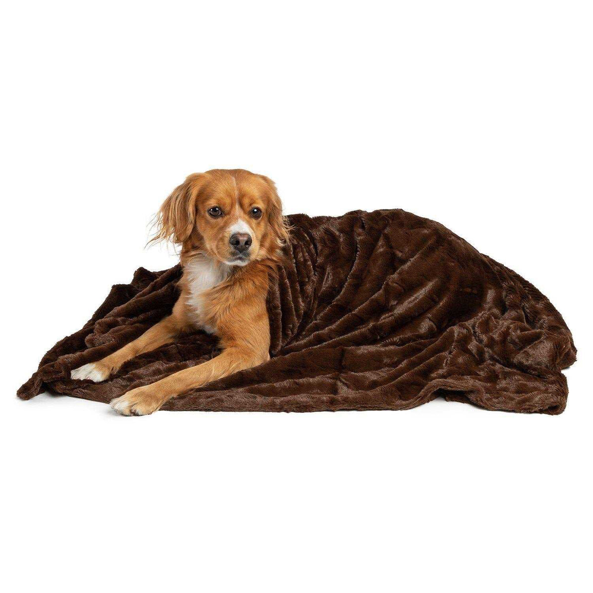 Calming Lux Fur Cat & Dog Blanket P25997