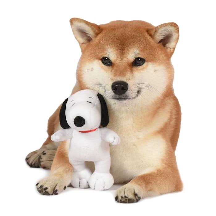 White Plush Dog Toy K921347