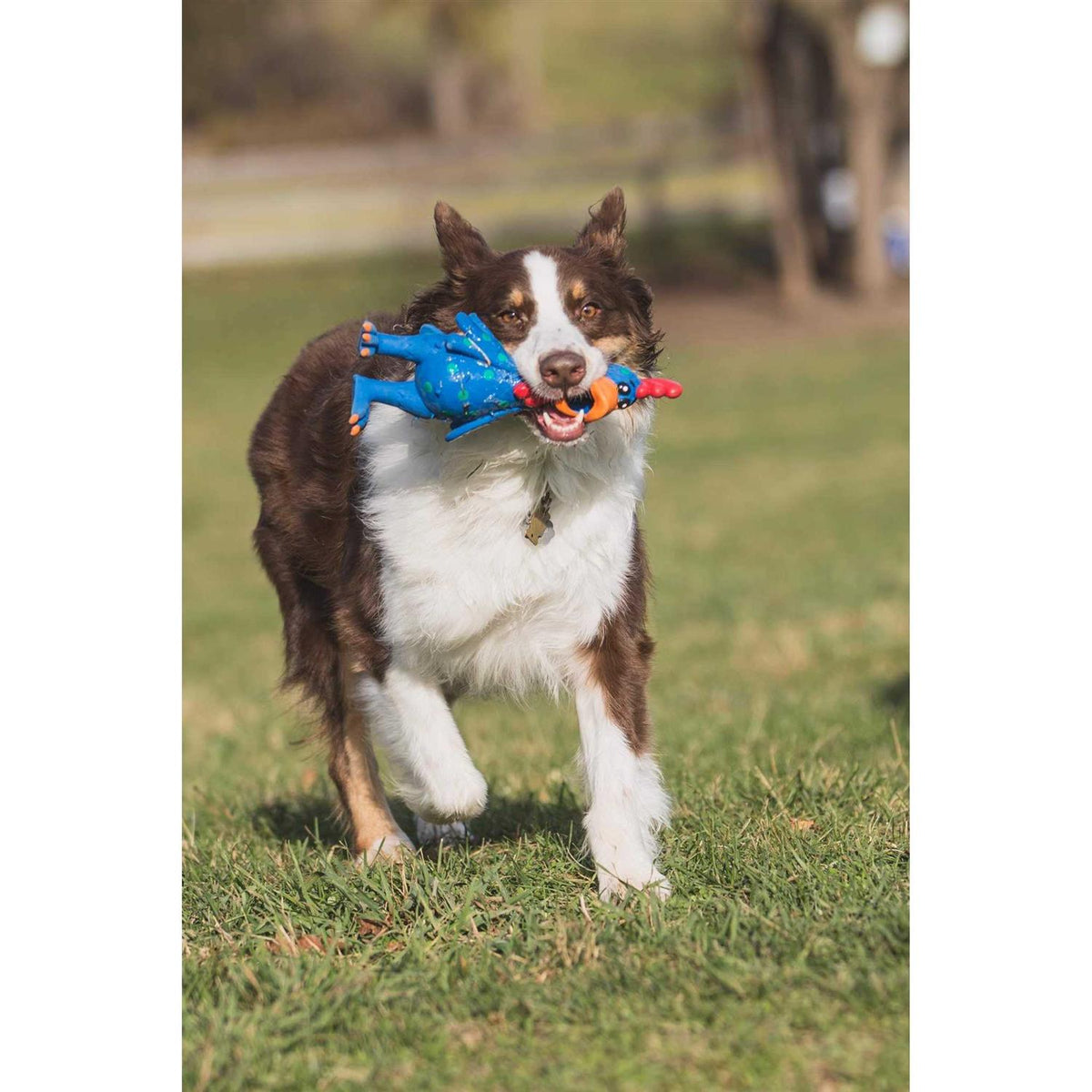 Chicken Dog Toy U30631