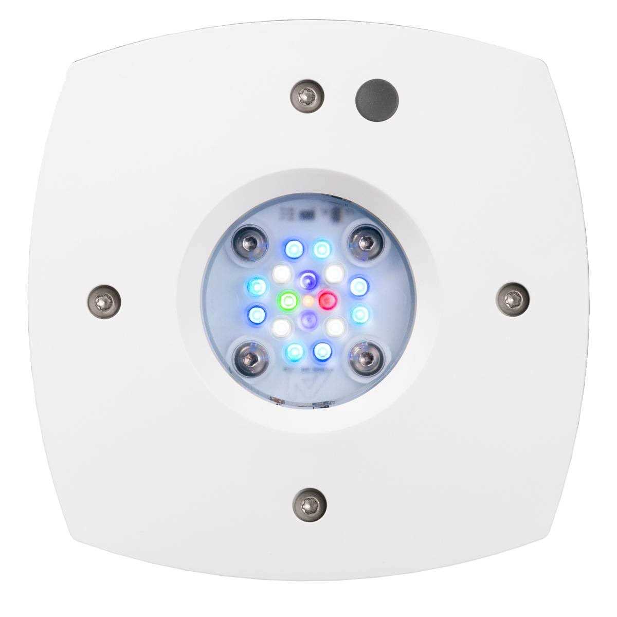 Reef LED Y909727