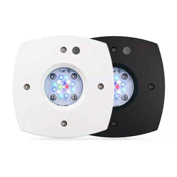 Reef LED Y909727