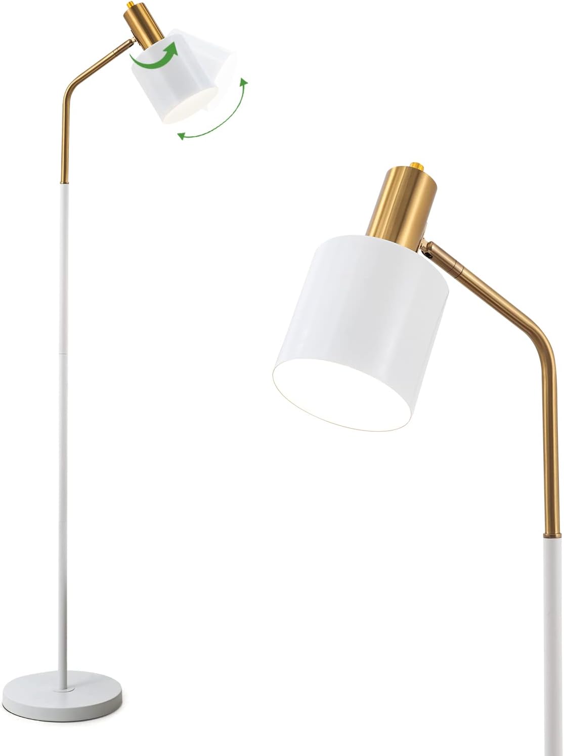 Arched LED Gold Floor Lamp Q55016