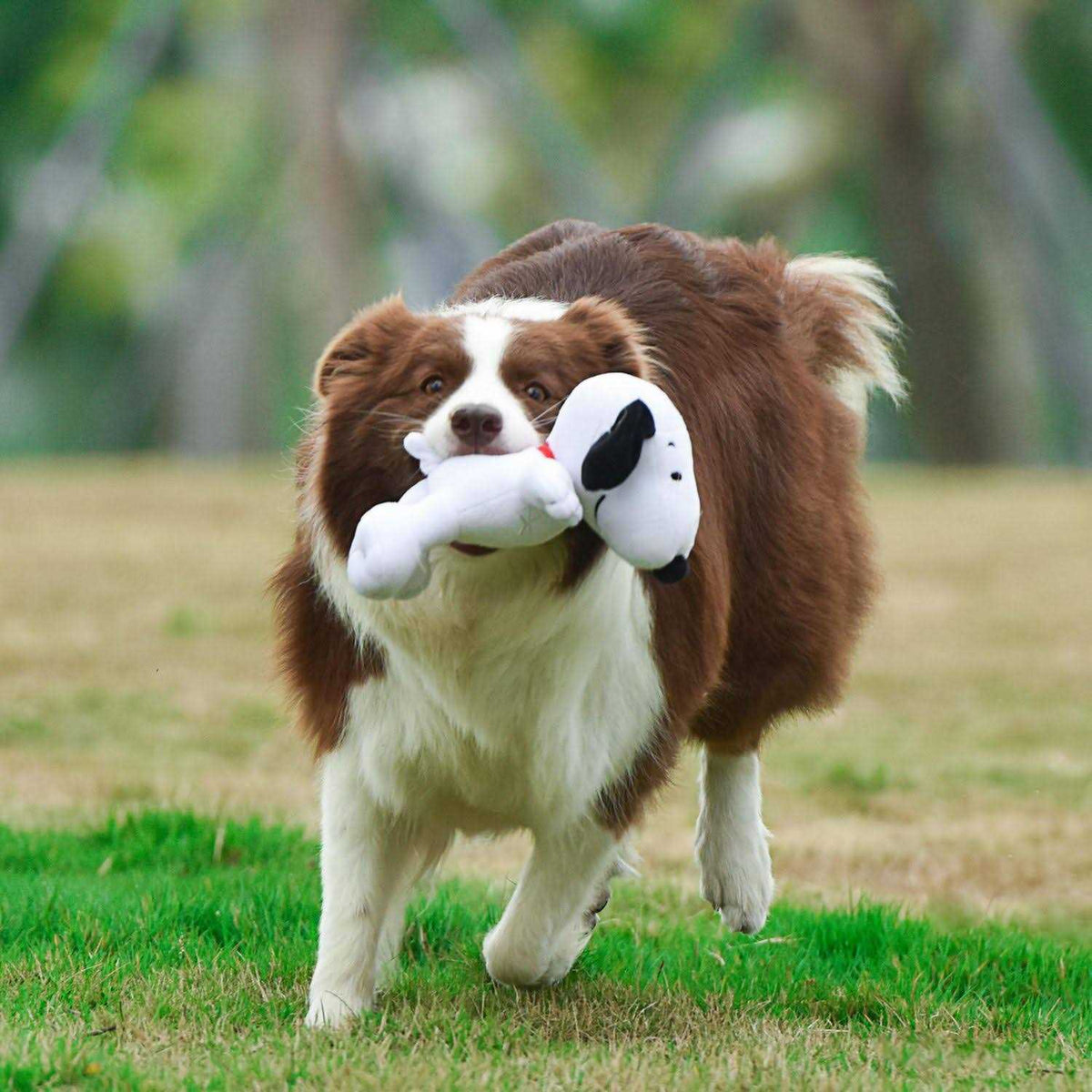 White Plush Dog Toy K921347