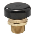 1/2" Lead Free Brass Vacuum Relief Valve V211