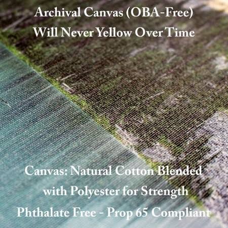 Canvas N781885