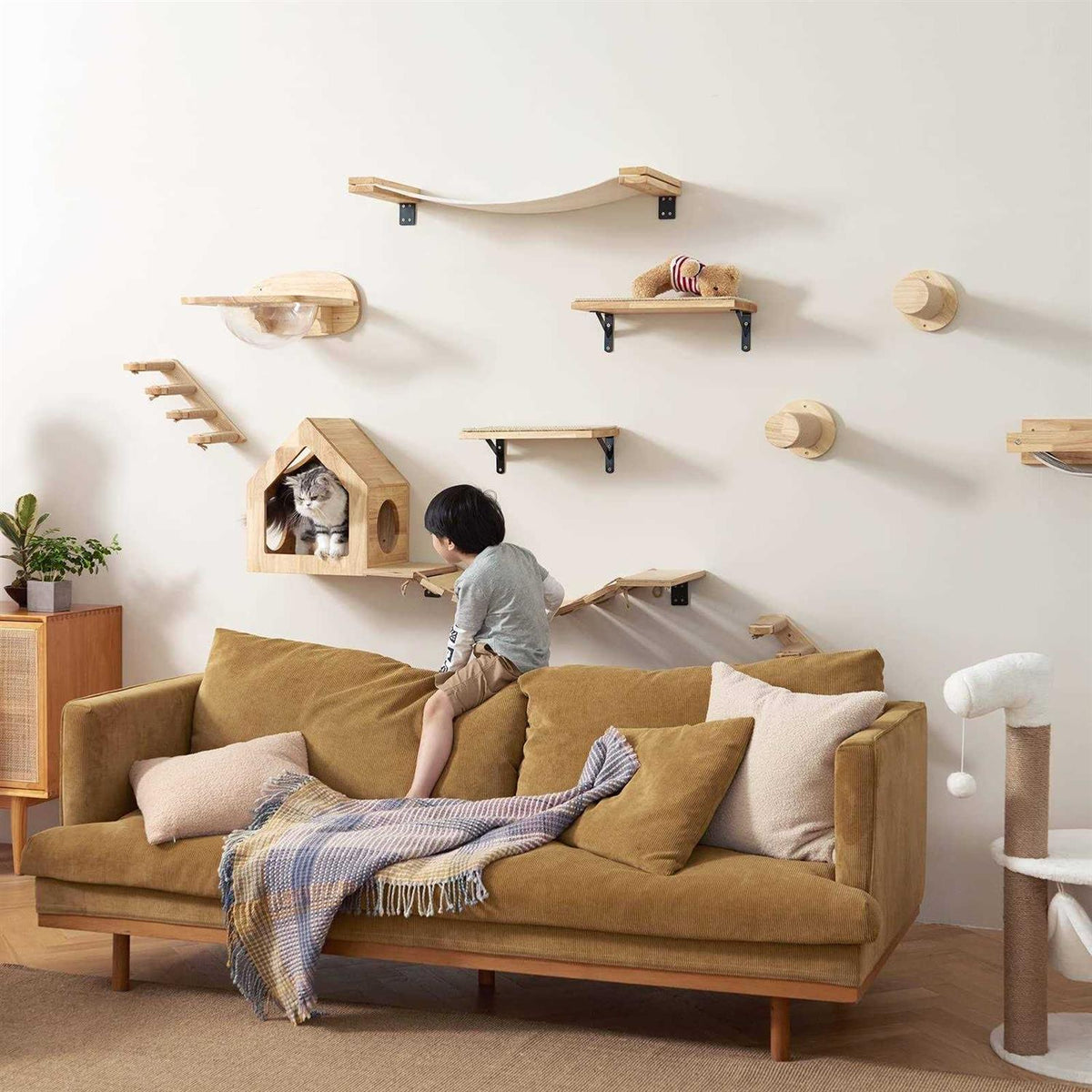 Cat Wall Furniture Set Transparent Capsule Cat Wall Shelves with 2 PCS Pedals H3077