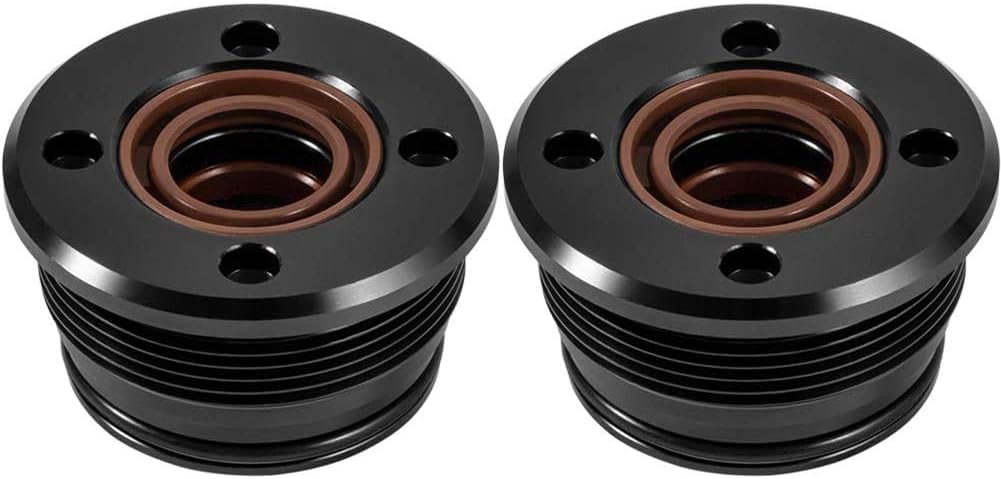 Trim Cylinder RAM Rebuild Kit 2PCS N77569