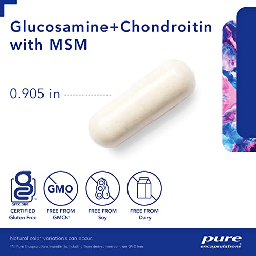 Glucosamine Chondroitin with MSM 120 Capsules T950984