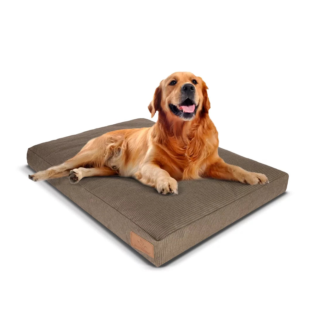 Canvas Dog Bed, Water-Repellent, Removable Washable Cover, Extra Large, Brown C728
