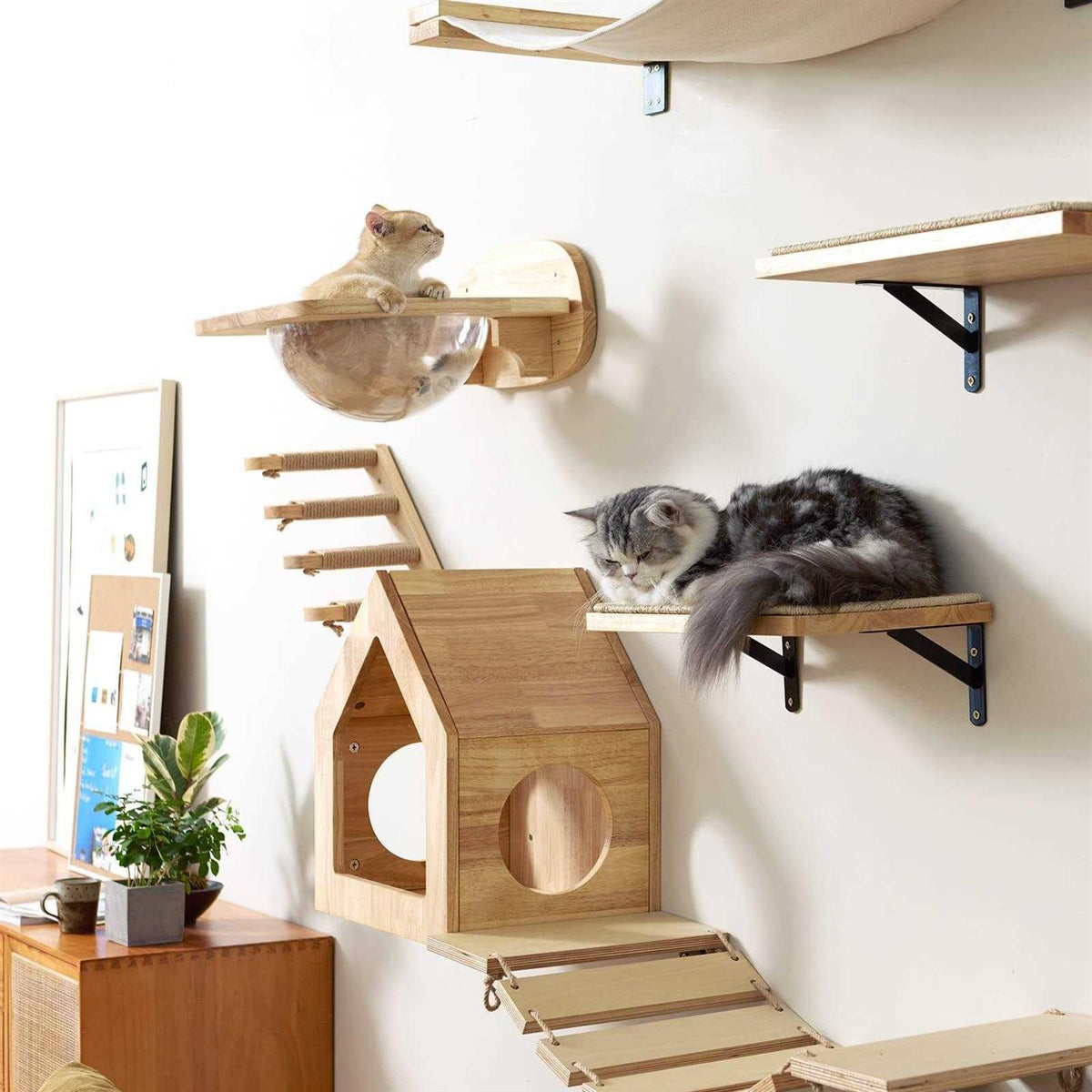 Cat Wall Furniture Set Transparent Capsule Cat Wall Shelves with 2 PCS Pedals H3077