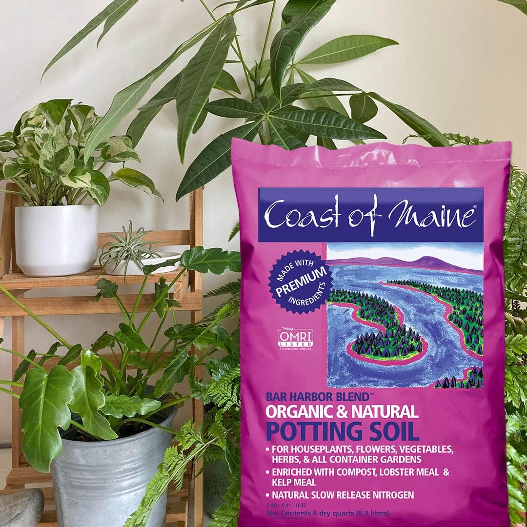 Organic Natural Potting Soil (8qt) T661