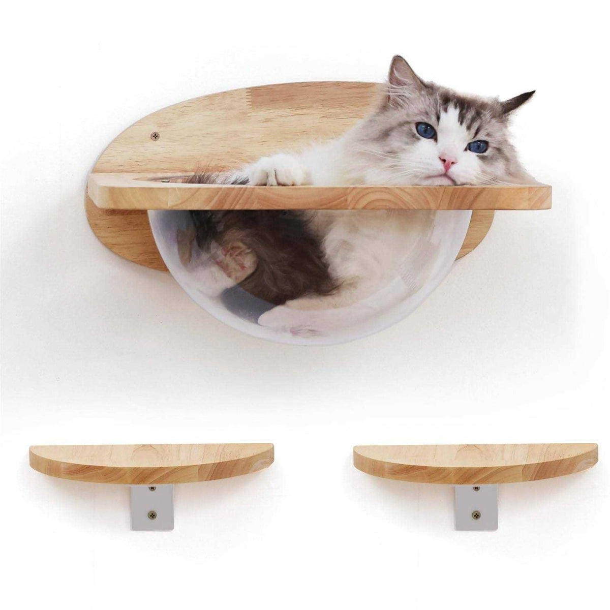 Cat Wall Furniture Set Transparent Capsule Cat Wall Shelves with 2 PCS Pedals H3077