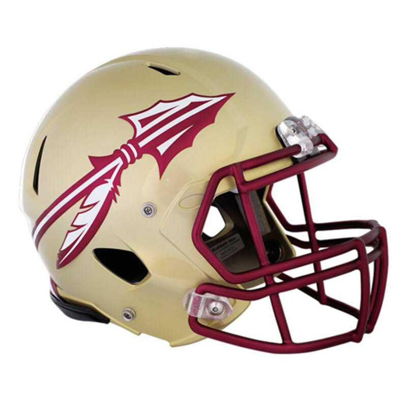 Florida State Seminoles Helmet Wall Decal M40642