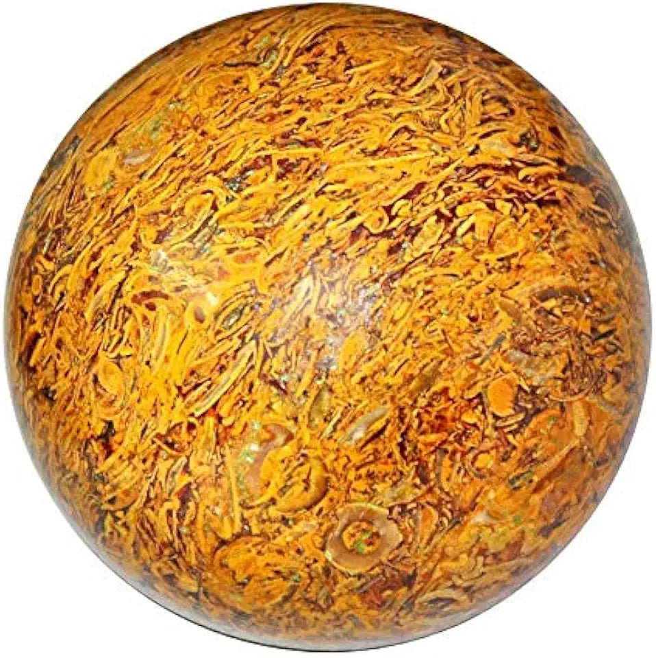 Natural Mariyam Fossil Gemstone Cabochon Untreated Stone U173895