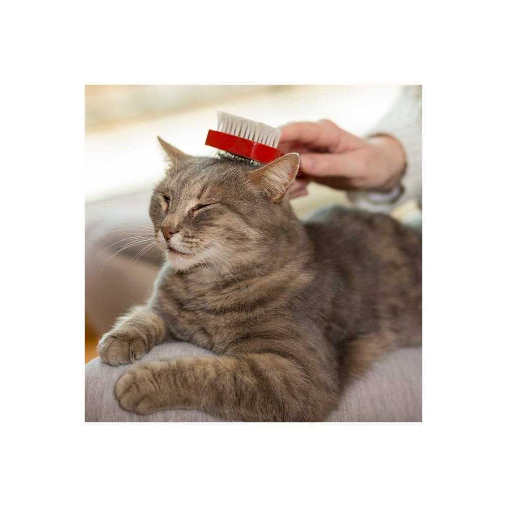 Cat Waterless Bath C62631