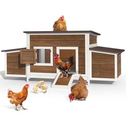 11.5ft² Wooden Chicken Coop with 2 Nesting Boxes F759511