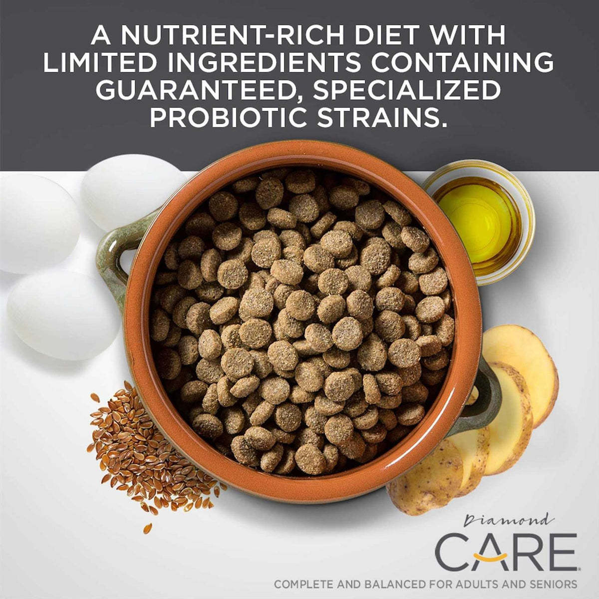 Sensitive Stomach Adult Dry Dog Food D94661