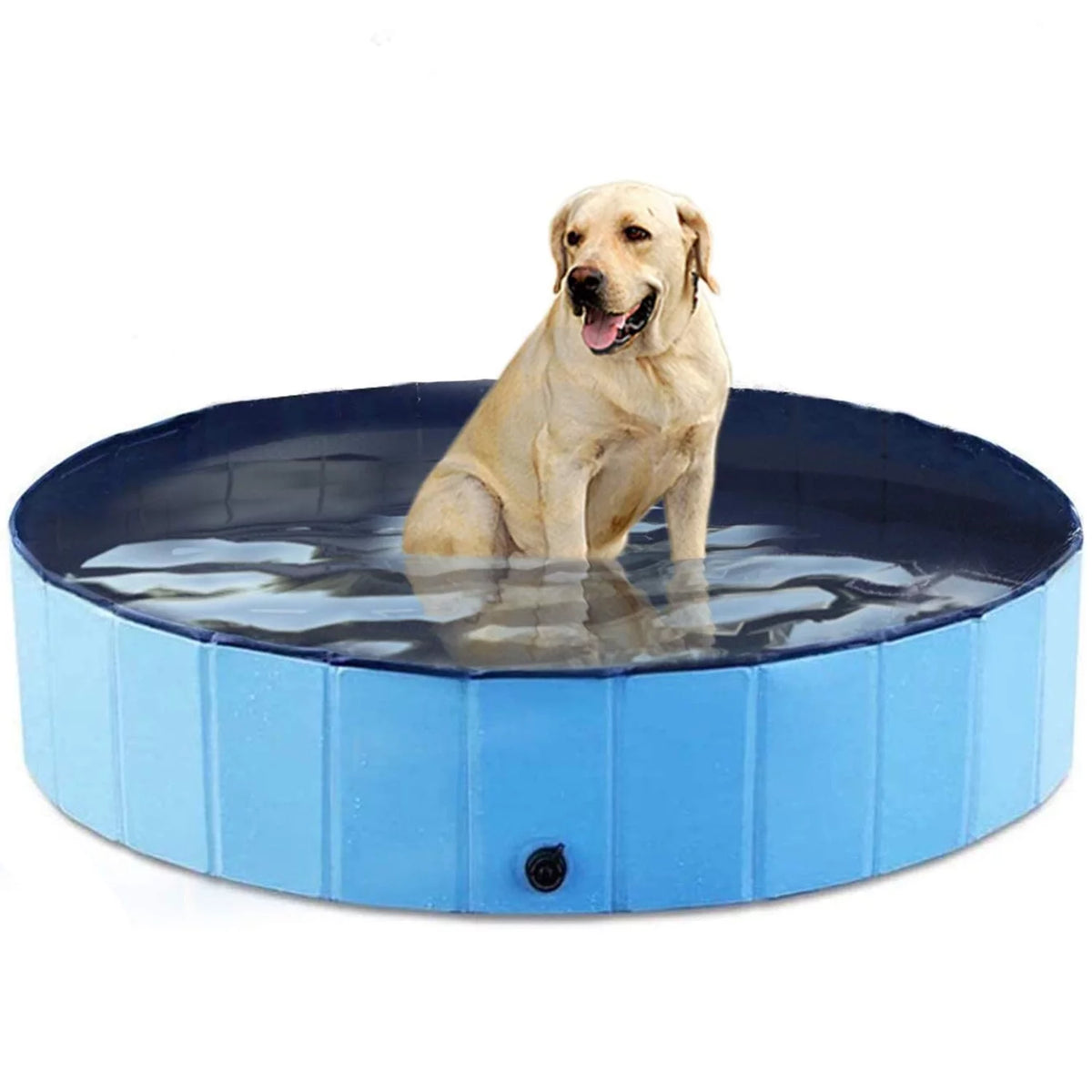 Blue 48 x 12 inch Collapsible Pet Pool O85780