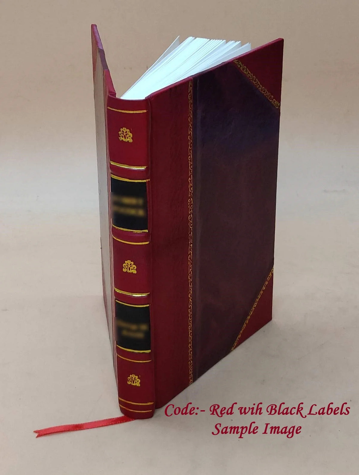 Microbes ptomaÃnes et maladies 1887 Leather Bound N3011