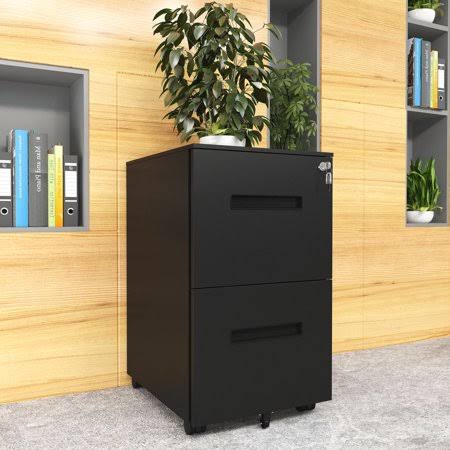 Black 2-Drawer Steel Rolling File Cabinet N666