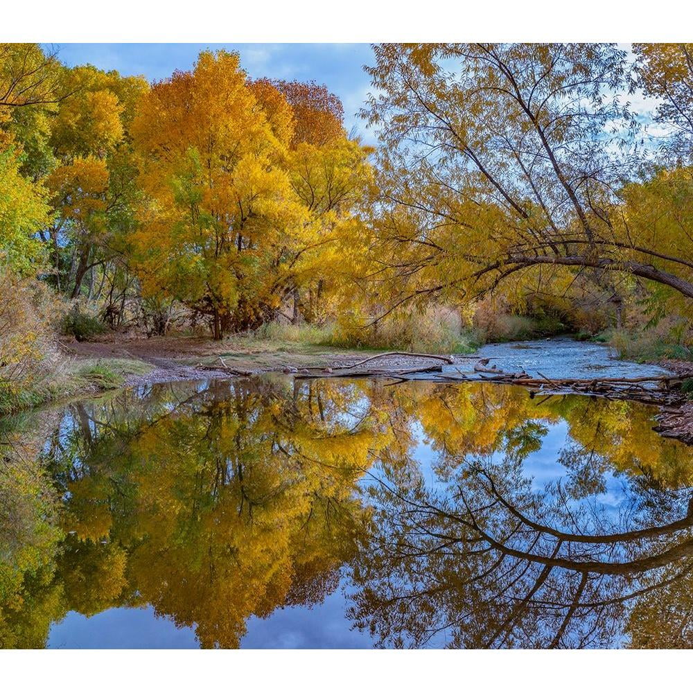 13x12 Black Framed Museum Art Print G41779