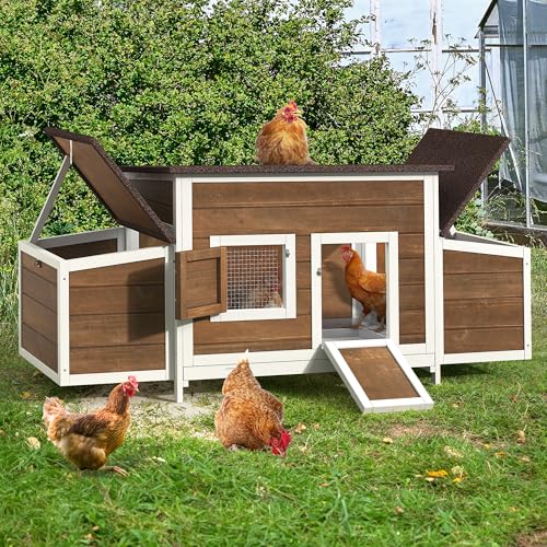 11.5ft² Wooden Chicken Coop with 2 Nesting Boxes F759511
