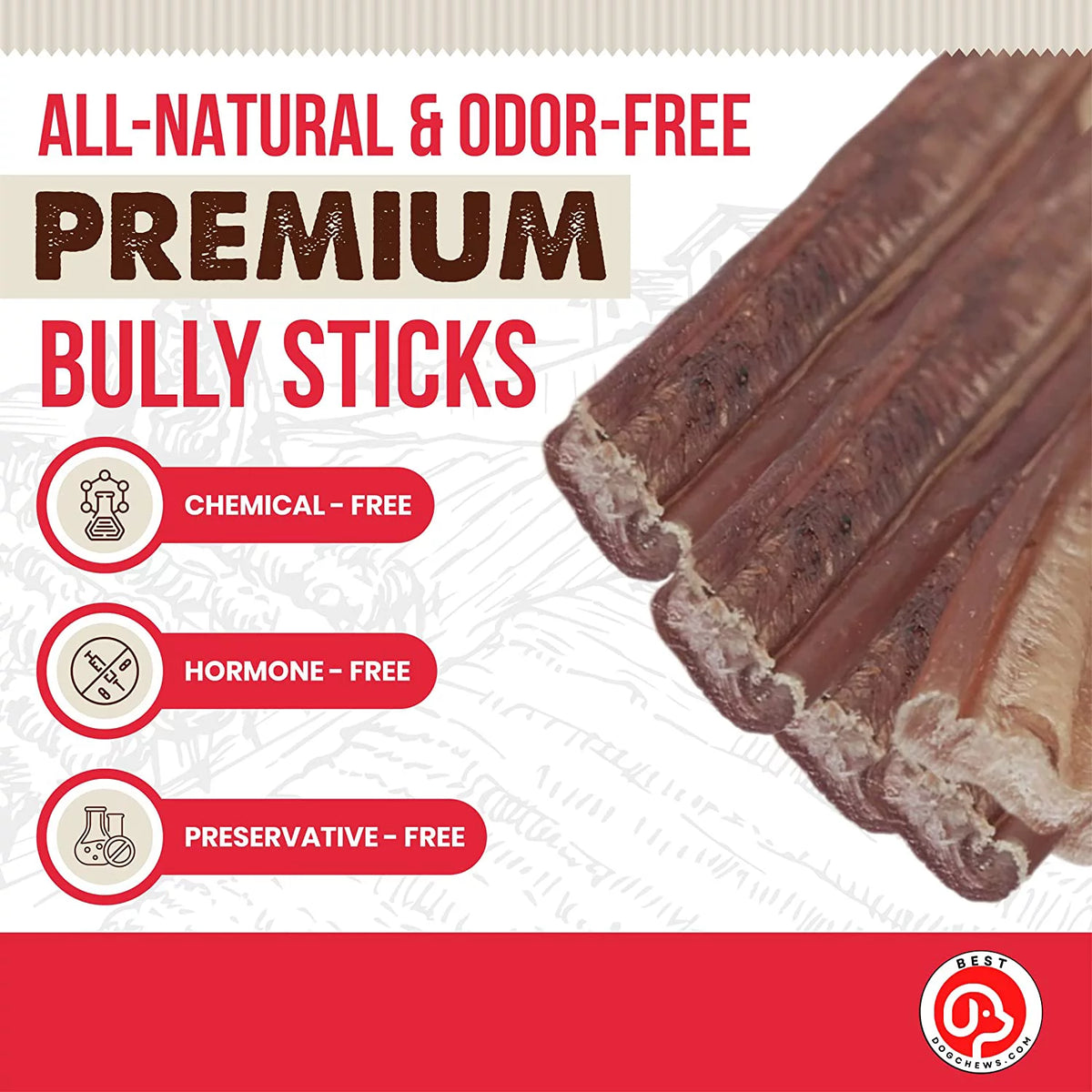 12 Inch 6 Count All Natural Grain Free Rawhide Free Beef Dog Chews S39164