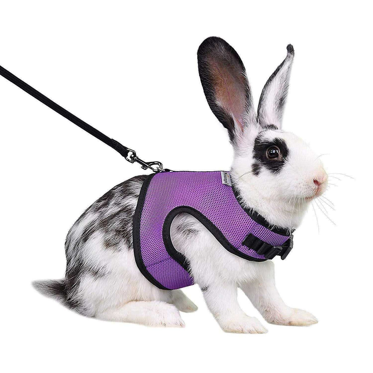 Adjustable Soft Harness with Elastic Leash for Rabbits G737