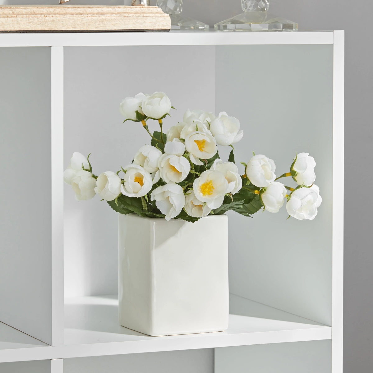 6 Cube Storage Organizer Y2047