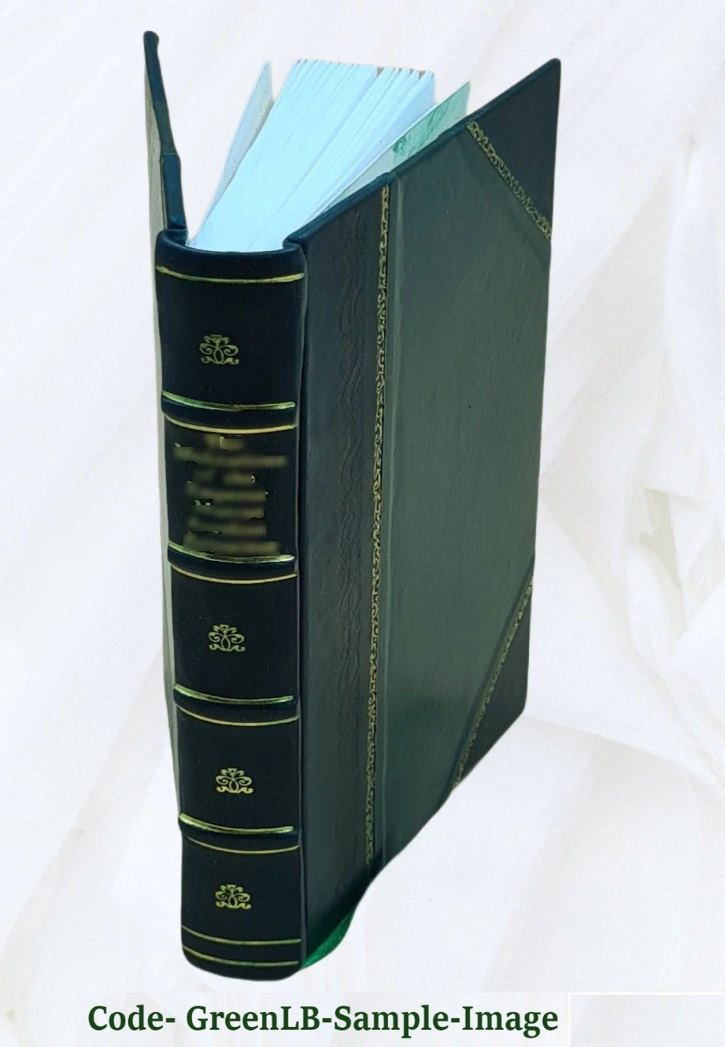 Leather Bound V331958