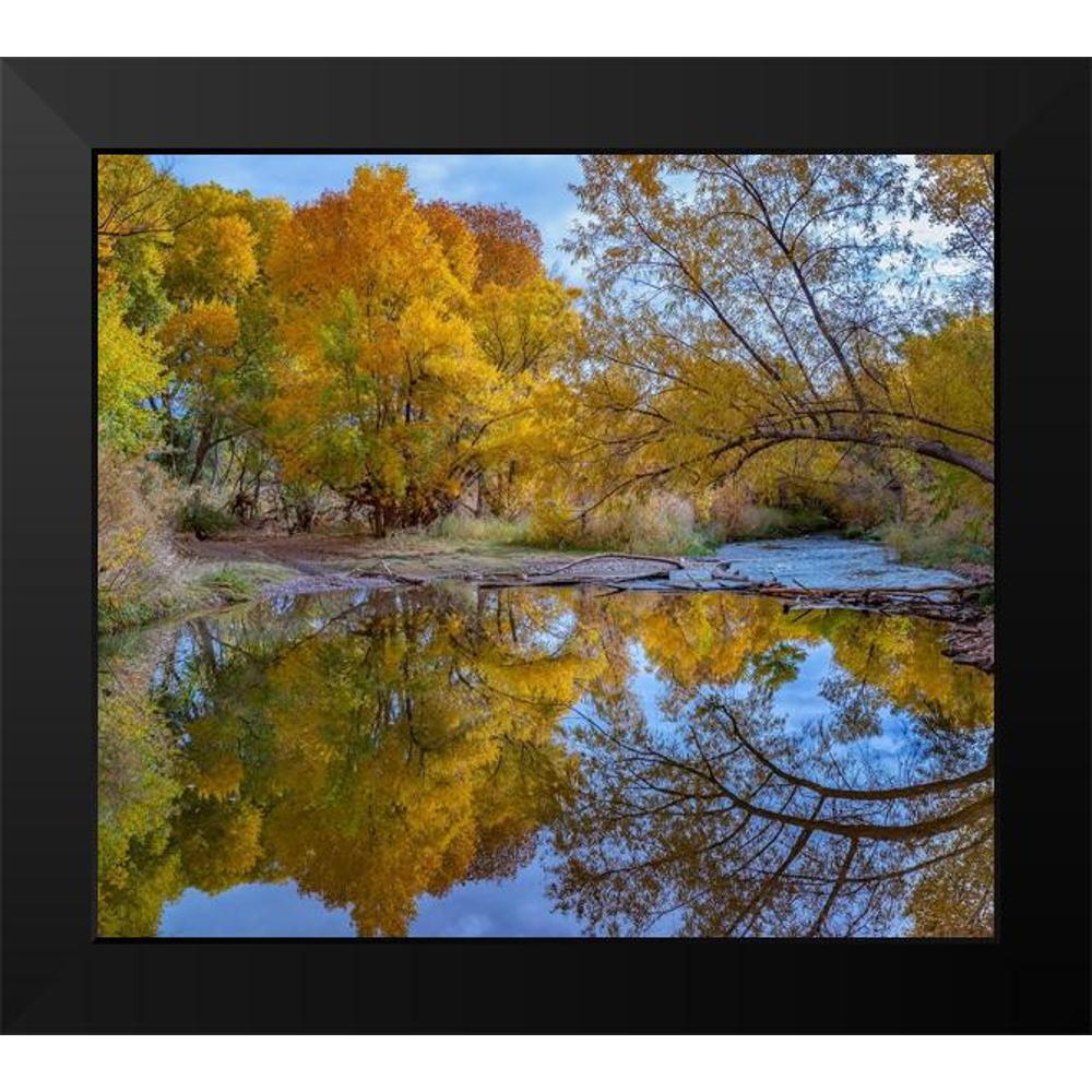 13x12 Black Framed Museum Art Print G41779